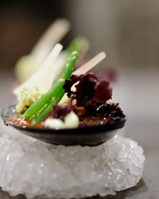 TASTING MENU SHORT